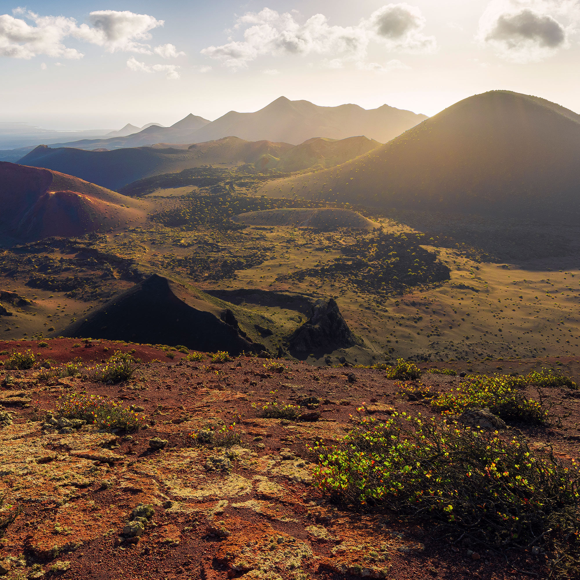 Coloured Earth