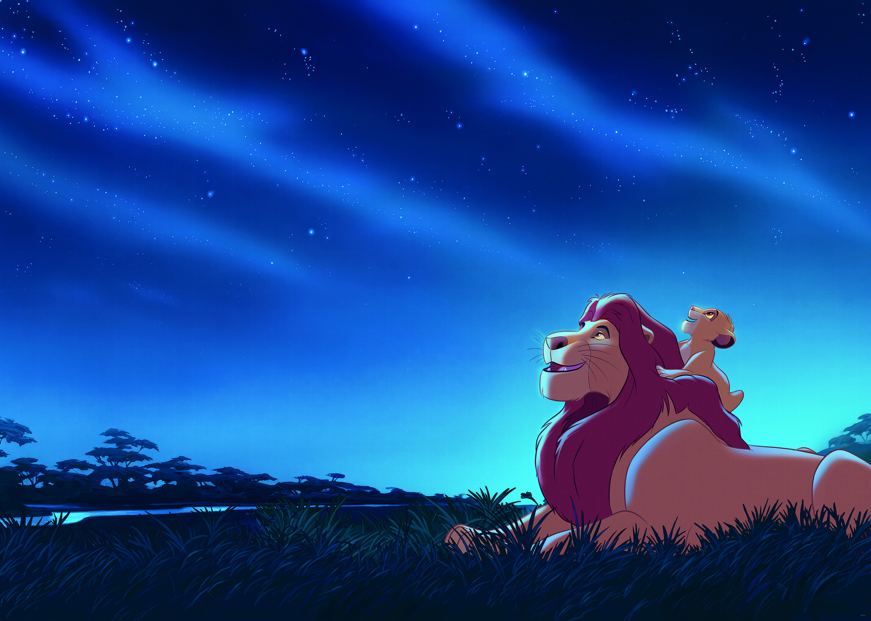 Disney The Lion King Stargazing